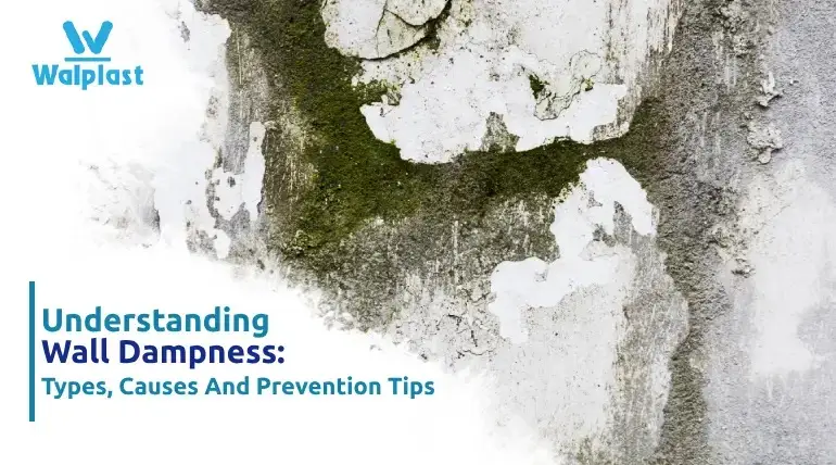 Understanding Wall Dampness: Types, Causes, and Prevention Tips