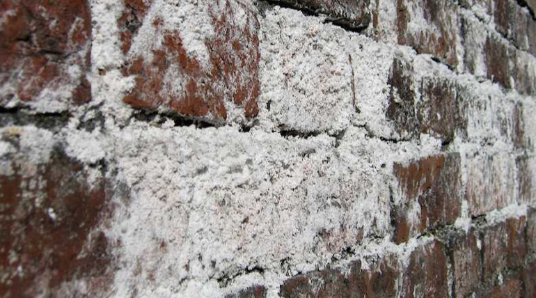 Premium wall putty for long-lasting paint performance