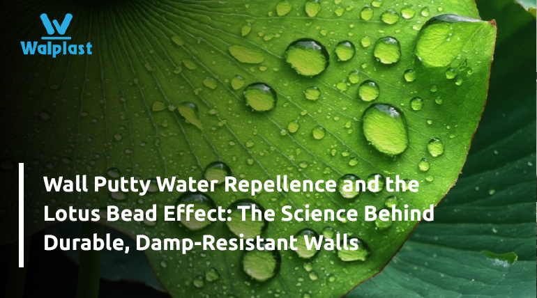 Wall Putty Water Repellence and the Lotus Bead Effect: The Science Behind Durable, Damp-Resistant Walls